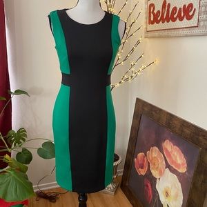 Ladies Dress